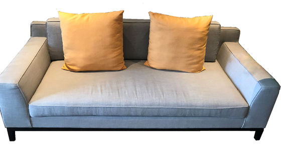 Σύγχρονη μινιμαλιστική διάρκεια Loveseats καναπέδων κρεβατοκάμαρων καναπέδων αφρού υψηλής πυκνότητας προσαρμογής