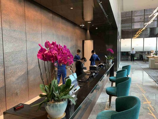 ASCOTT στερεά ξύλινα σύνολα καθιστικών επίπλων καθορισμένα για το ODM διαμερισμάτων